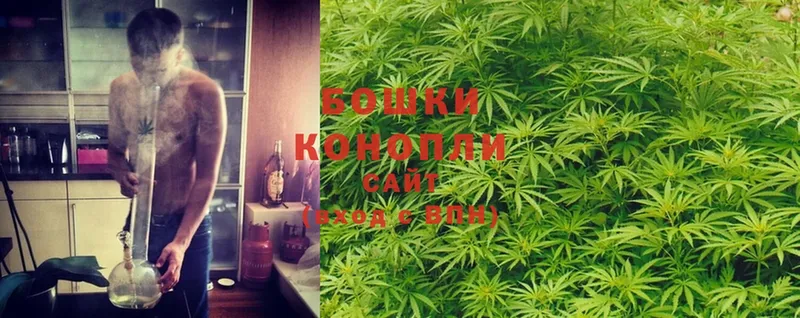 блэк спрут онион  Омск  Шишки марихуана Ganja  сколько стоит 